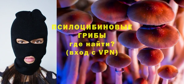 мяу мяу мука Беломорск
