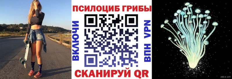 Галлюциногенные грибы Psilocybine cubensis  что такое   Плёс 